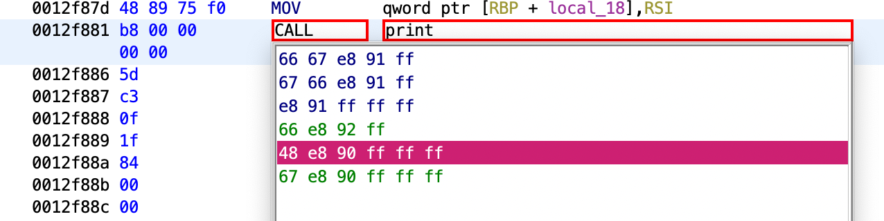 Patching the instruction.